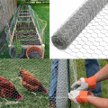 PVC Coated galvanized hexagonal wire mesh for Chicken